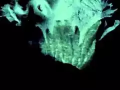 remember that vintage london interracial scene with the lactating milf?