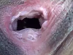 omg that giant dildo just wouldn't fit inside me at all 😩🍆