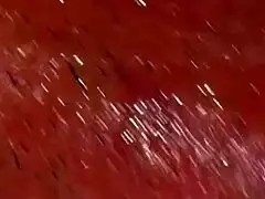 My Throbbing Pink Pussy Craves Your Hot Cock and Cum Flood
