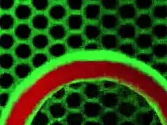 maxine x and rome major crave bedroom heat