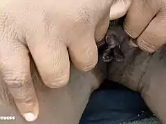 Damn this ebony BBW milf moans loud fingering her hairy pussy to orgasm