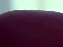 hey masseur van, my huge tits need your cock pounding now