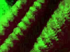 ITALIAN BIG TITS MILF ARTEMISIA LOVE BOUNCES HUGE NATURAL BOOBS IN HOT SOLO NIGHT SESSION!