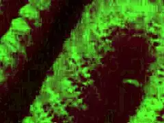 ITALIAN BIG TITS MILF ARTEMISIA LOVE BOUNCES HUGE NATURAL BOOBS IN HOT SOLO NIGHT SESSION!