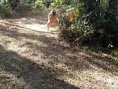 i'm your humiliated french slave housewife chained flashed slapped in garage toilet