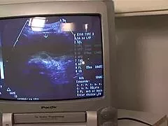 Pregnant Big-Tit Slut Sucks Cock, Fucks Asshole, Swallows Load