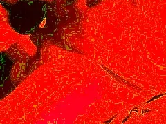 Cum hungry wife blindfolded deepthroating hubby’s cock close up, part 1 😛💦