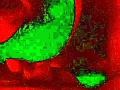 COCK HUNGRY milf blindfolded sucks strokes plump bbw lips close-up homemade then swallows every drop slut wife 1on1