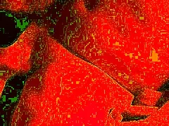 omg this cum hungry bbw milf swallows every drop in amateur close-up deepthroat blowjob