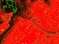 omg this cum hungry bbw milf swallows every drop in amateur close-up deepthroat blowjob