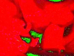 hey watch this bbw brunette give slow deepthroat pov blowjob up close