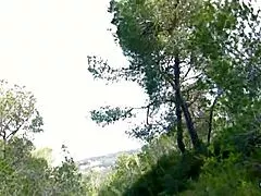 😏 milf hops in stranger's car backseat, bends over his monster cock for wild doggystyle pounding 💦