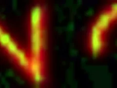 Curvy private secretary delivers bootjob to boss using long leather high heels under office desk secretly.