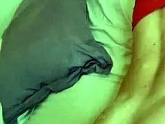 Alineflavio releases update 80 on June 27 2024 timestamp 000243 2