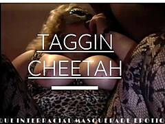 Fræk Taggin Cheetah i interracial lidenskab