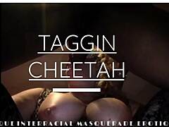 Bujaság Taggin Cheetah interracial szenvedélyben