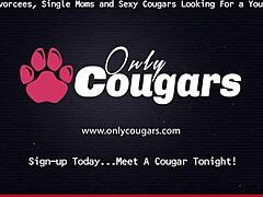 Σκανδιναβικό