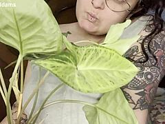 مدهون بالزيت