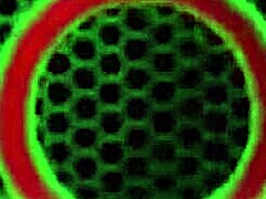 Девушки целуются