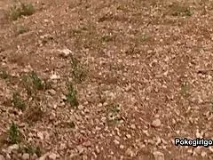 Outdoor couple shares hot cum in mouth finish 😏💦