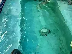 rome major rams hazel moore bikini pussy deep