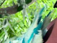 carnival chick climbs tree in the crowd gets pussy fucked and swallows stranger's cum right there