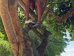 carnival chick climbs tree in the crowd gets pussy fucked and swallows stranger's cum right there
