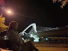 Exhibitionist Slams Big Tits Whore in Public Street Spot!