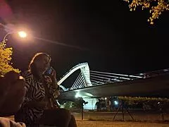 Exhibitionist Slams Big Tits Whore in Public Street Spot!