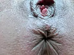 damn lettywild's juicy shaved pussy and anus spread wide close up