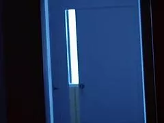 Stepson, pound stepmom's pussy while old man sleeps nearby?