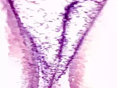 Hot Evangelical Stepmom's Hairy Pussy Flashes Publicly
