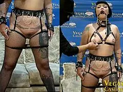 cece larue's ass-pussy hooked then ass fucked in bdsm with wax and wand orgasms closeup