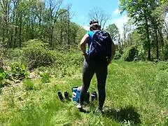 Wow! Epic Milf Pantsing in Public Part 6!