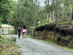 he grabbed that campesina milf's ass and soon they fucked wildly outdoors
