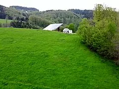 Why settle for blowjob when outdoor tent creampie hits her tits?
