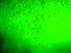 Milf gets pissed on big preggo tits