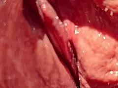 Maturemons horny mature gaping in the garden